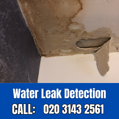 Expert Water Leak Detection Services in Chislehurst | Chislehurst Leak Detection